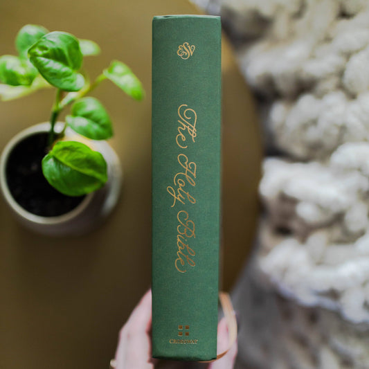 The Daily Grace Co - ESV Single Column Journaling Bible® | Stained Glass Blooms