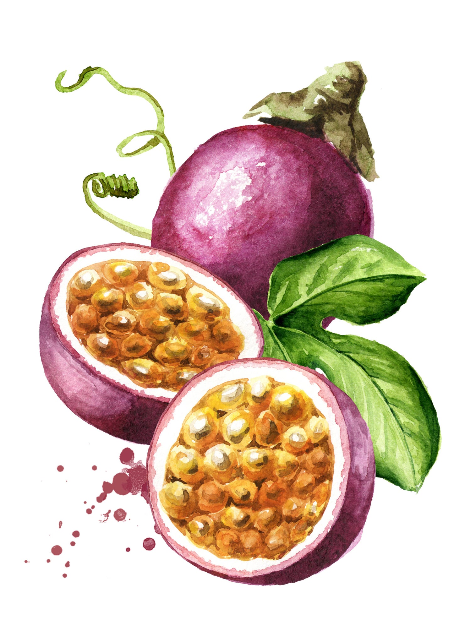 Butterfields Candy - Orchard Buds - Prickly Pear, Plum, Passion Fruit, and Apple