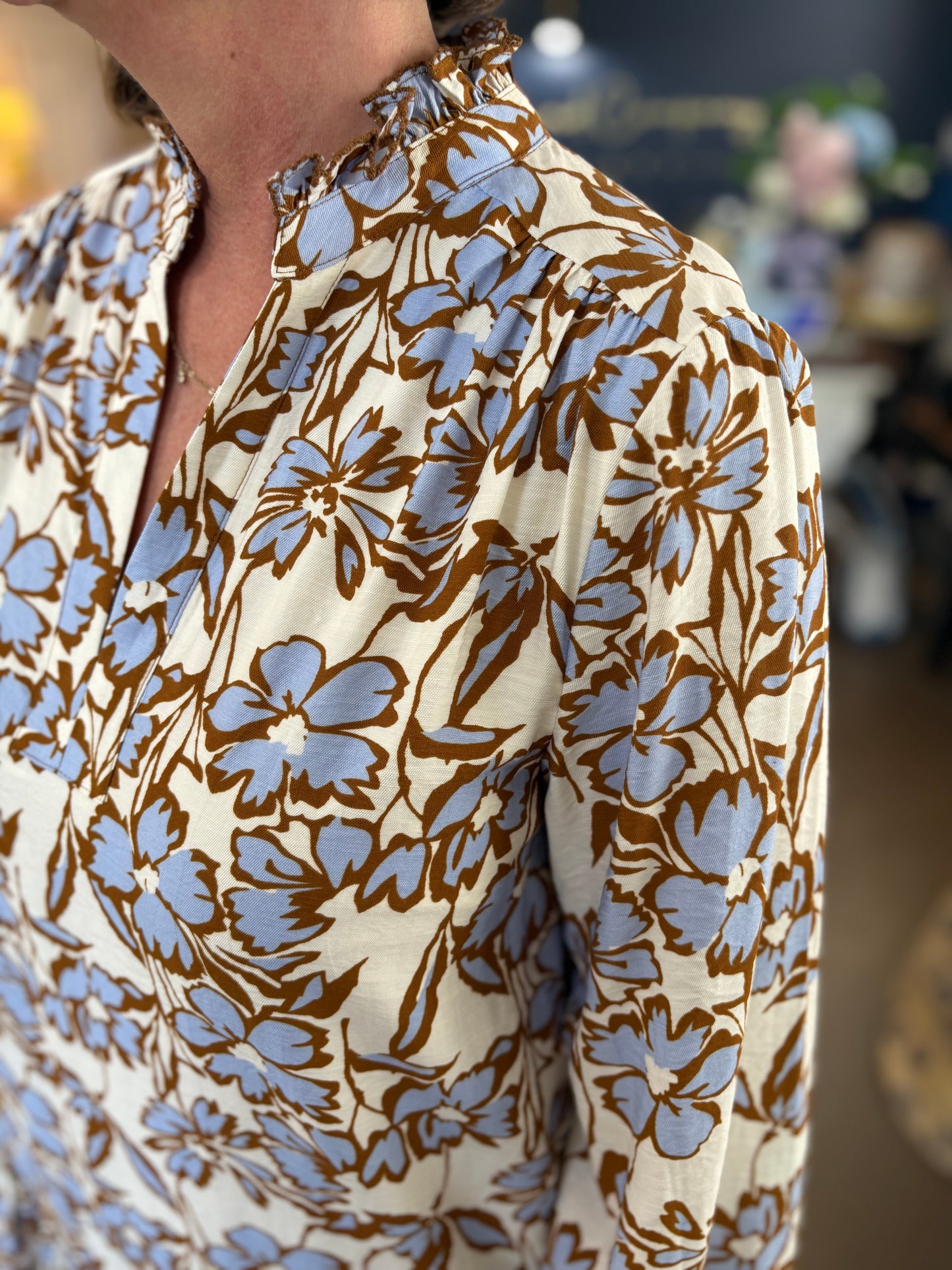 Sierra Blue Brown Multi Dress