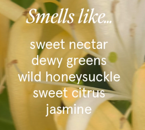 Votivo- Honeysuckle 2.8oz Discovery Candle