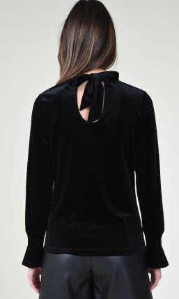 Velvet Noir Blouse