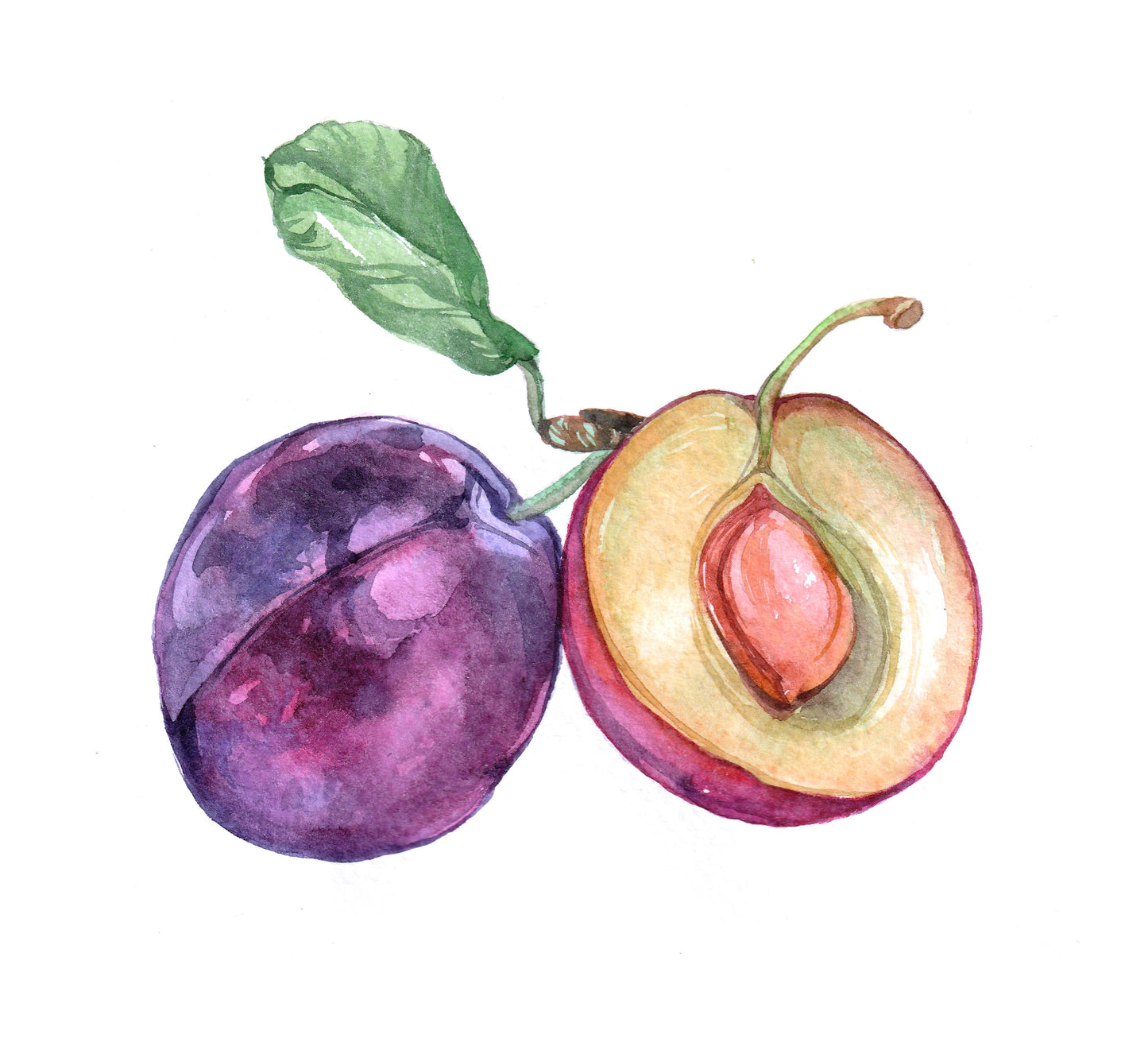Butterfields Candy - Orchard Buds - Prickly Pear, Plum, Passion Fruit, and Apple