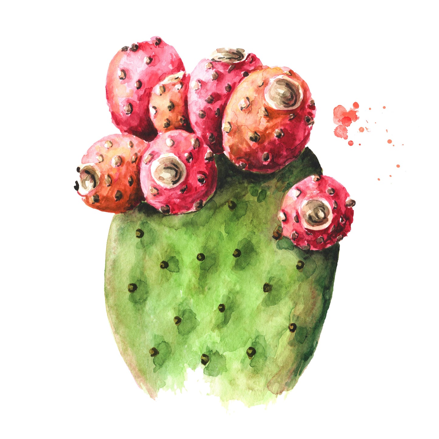 Butterfields Candy - Orchard Buds - Prickly Pear, Plum, Passion Fruit, and Apple