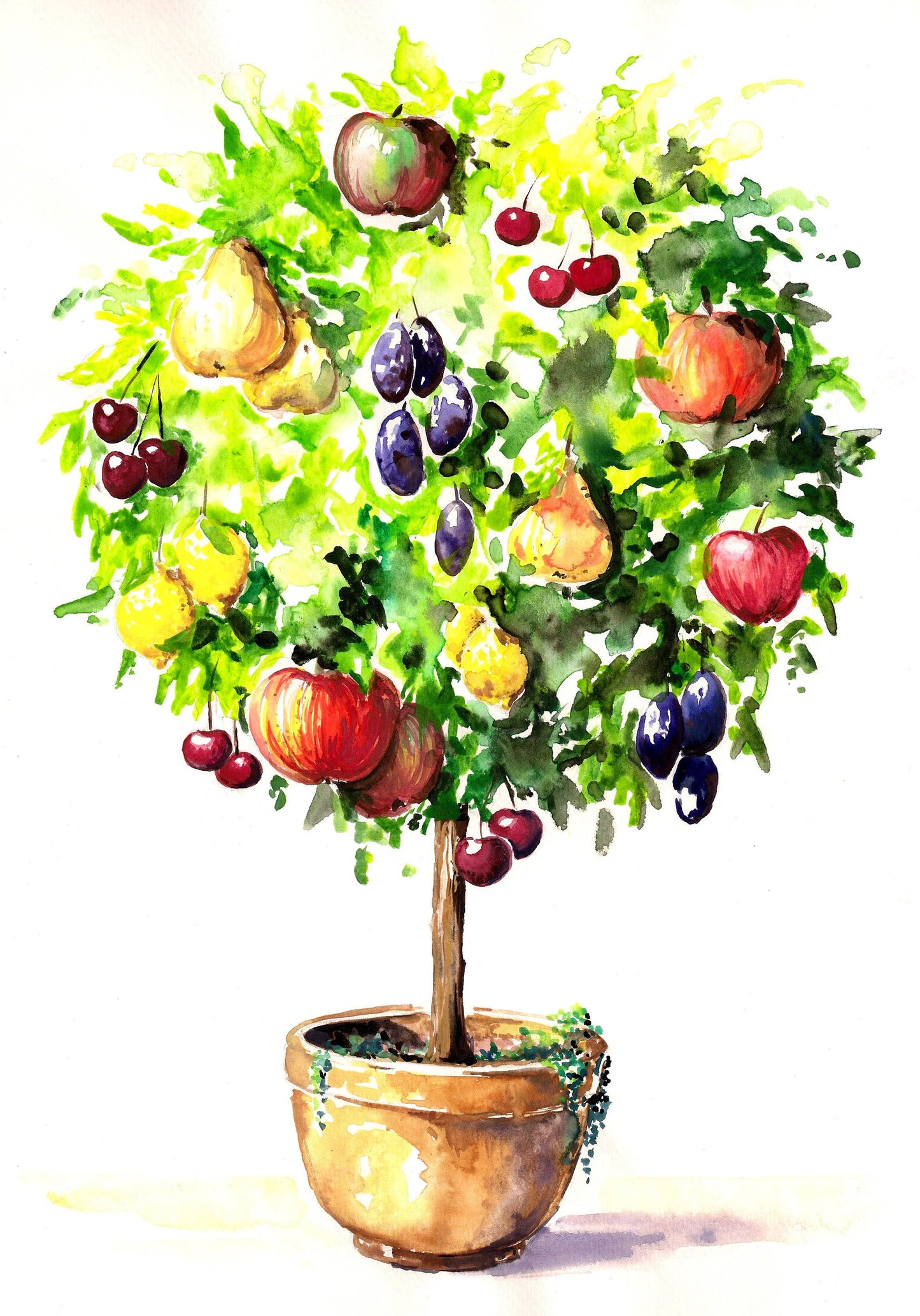 Butterfields Candy - Orchard Buds - Prickly Pear, Plum, Passion Fruit, and Apple