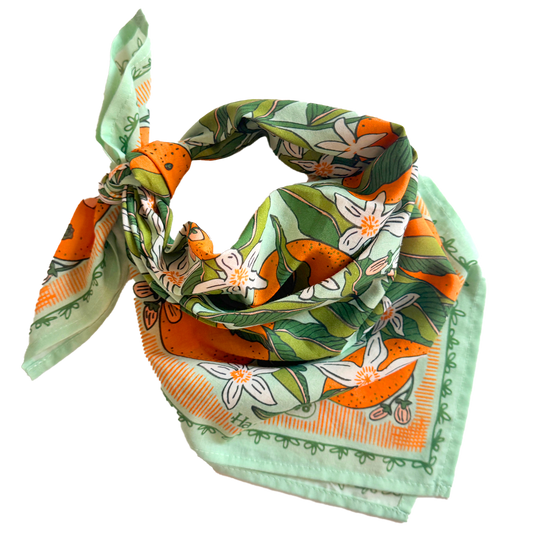Handker Bandanas - No. 146 Zoe Bandana
