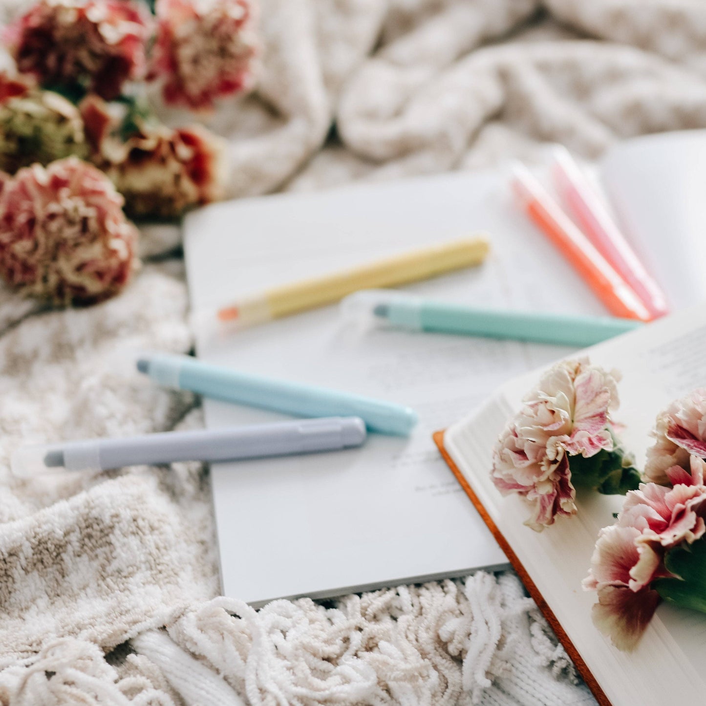 The Daily Grace Co - Pastel Bible Highlighter Set