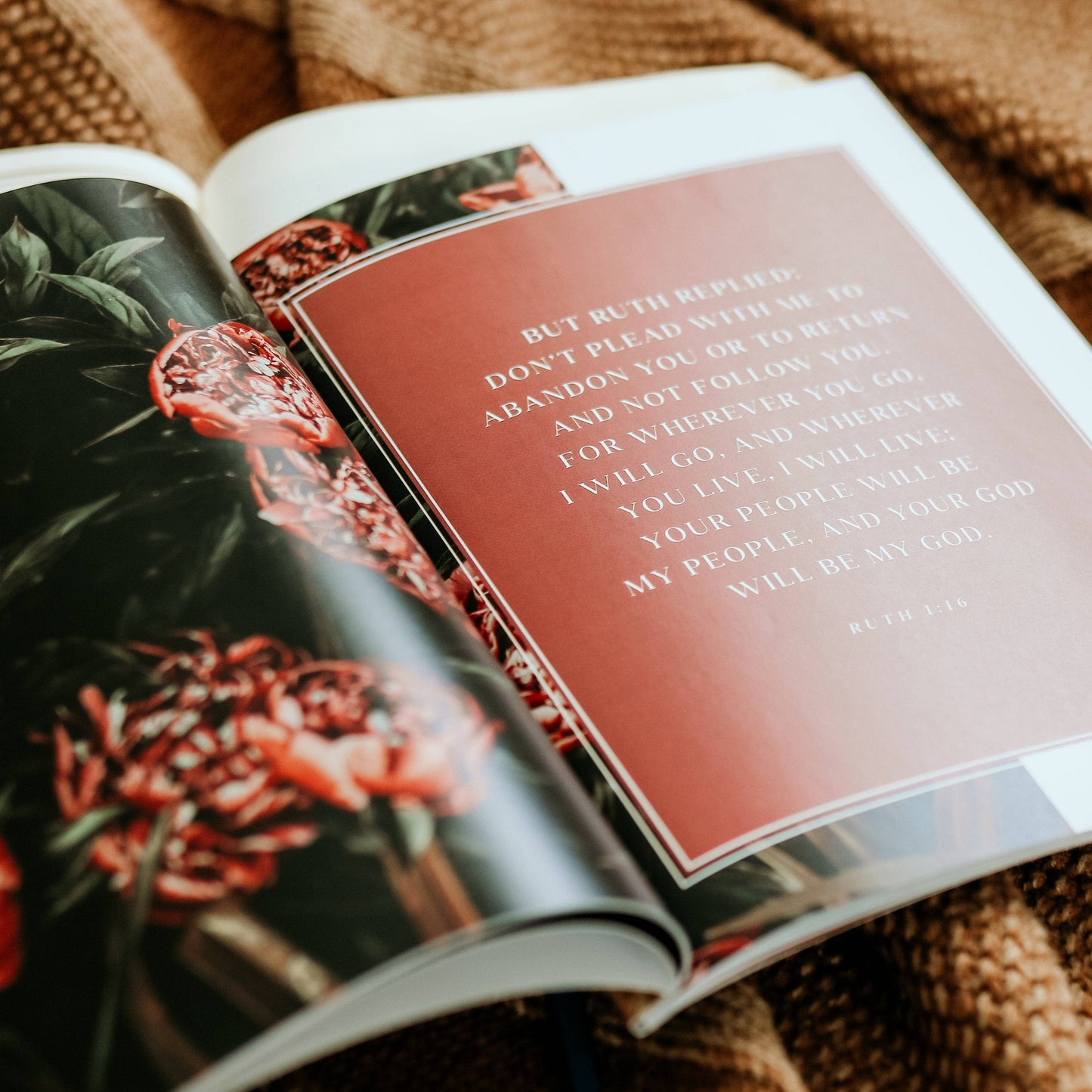 The Daily Grace Co - Ruth Bible Study