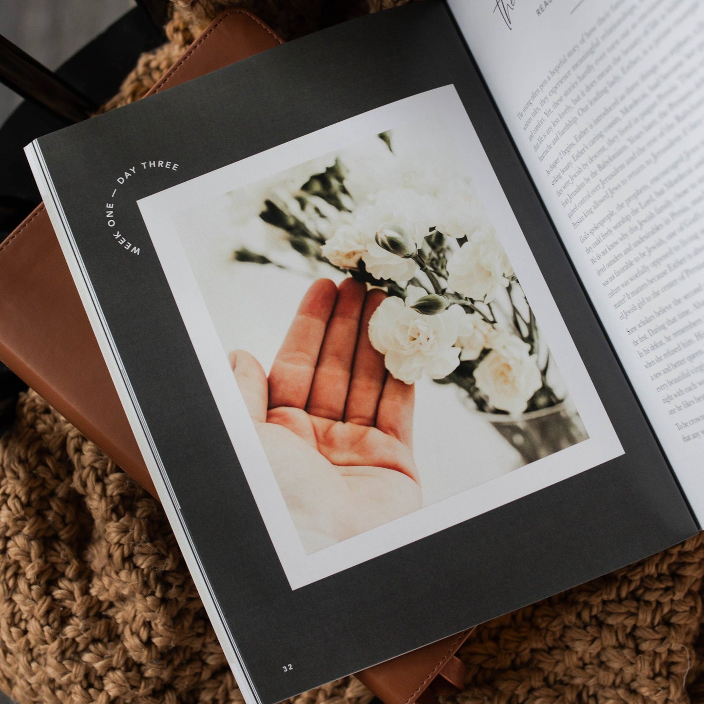 The Daily Grace Co - Esther Bible Study