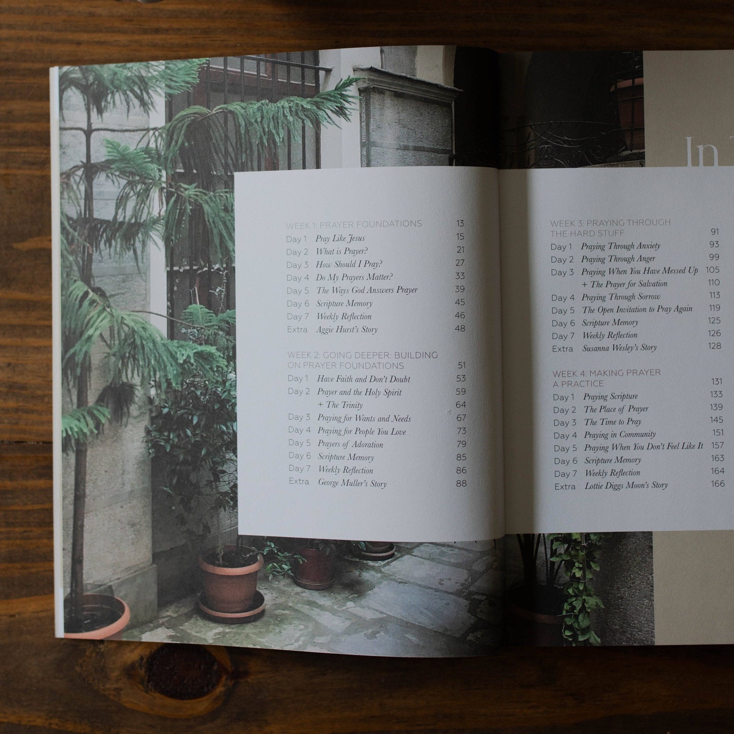 The Daily Grace Co - Pray Bible Study