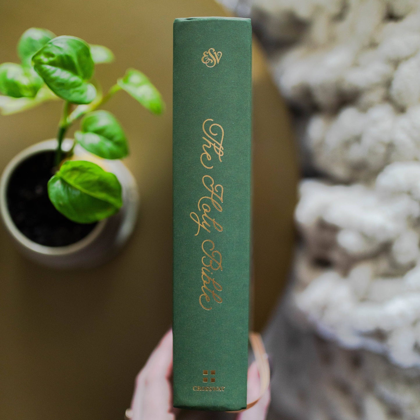 The Daily Grace Co - ESV Single Column Journaling Bible® | Stained Glass Blooms