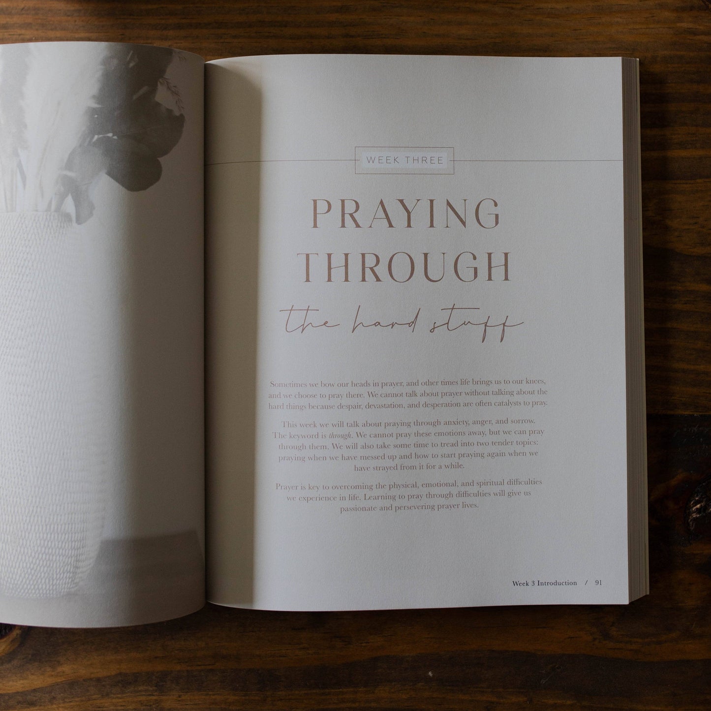 The Daily Grace Co - Pray Bible Study