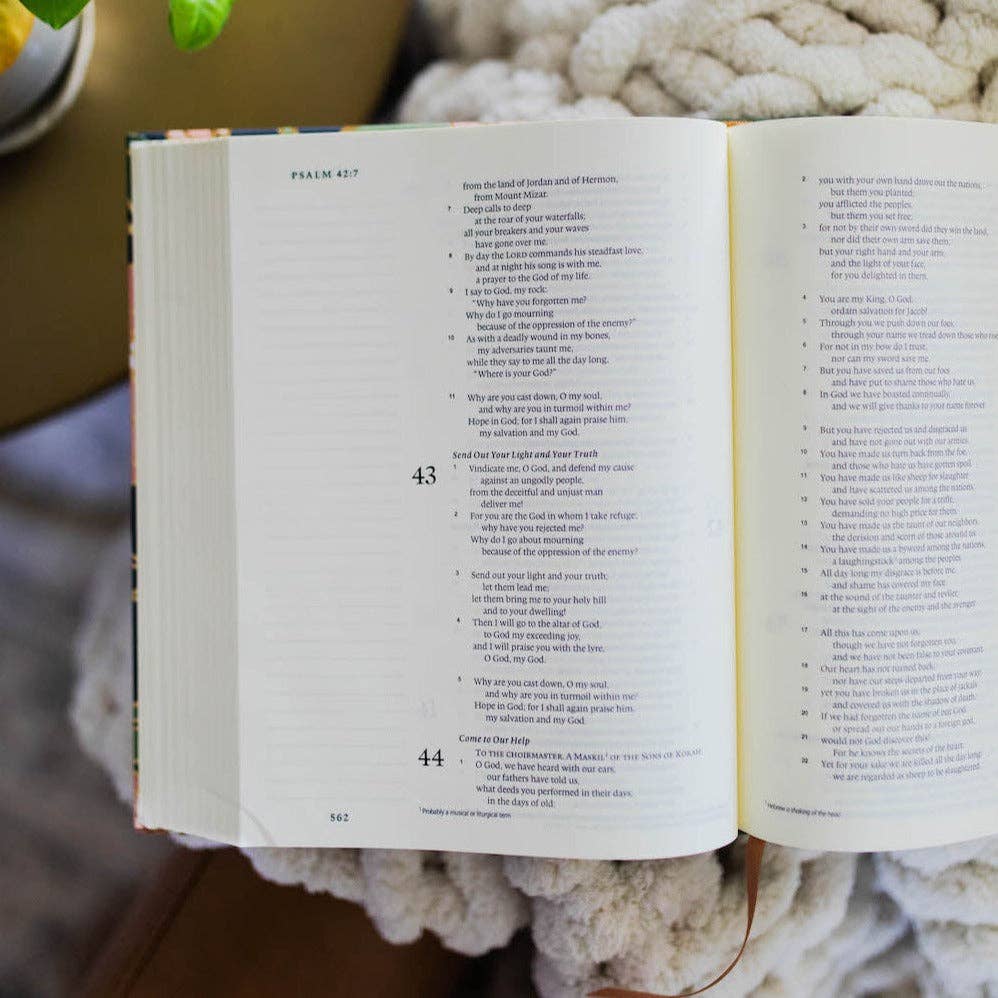 The Daily Grace Co - ESV Single Column Journaling Bible® | Stained Glass Blooms