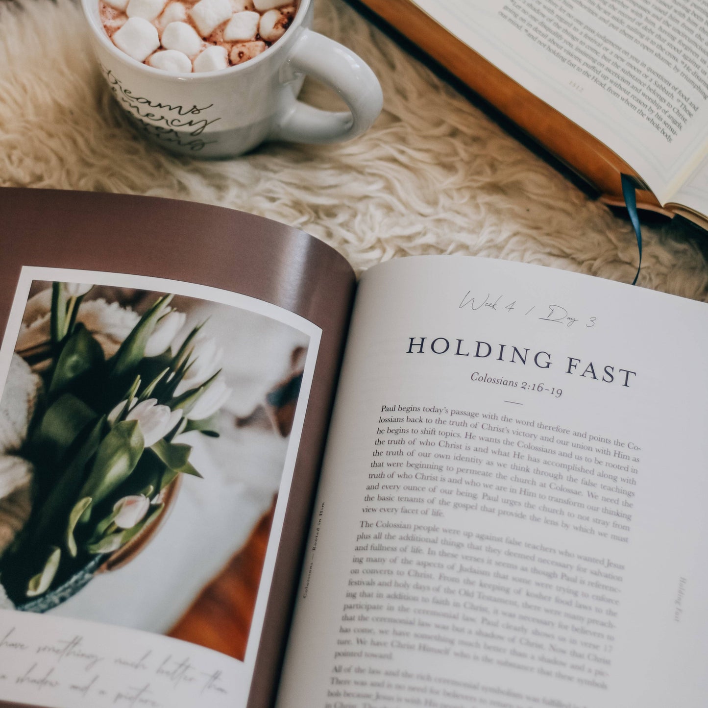 The Daily Grace Co - Colossians Bible Study