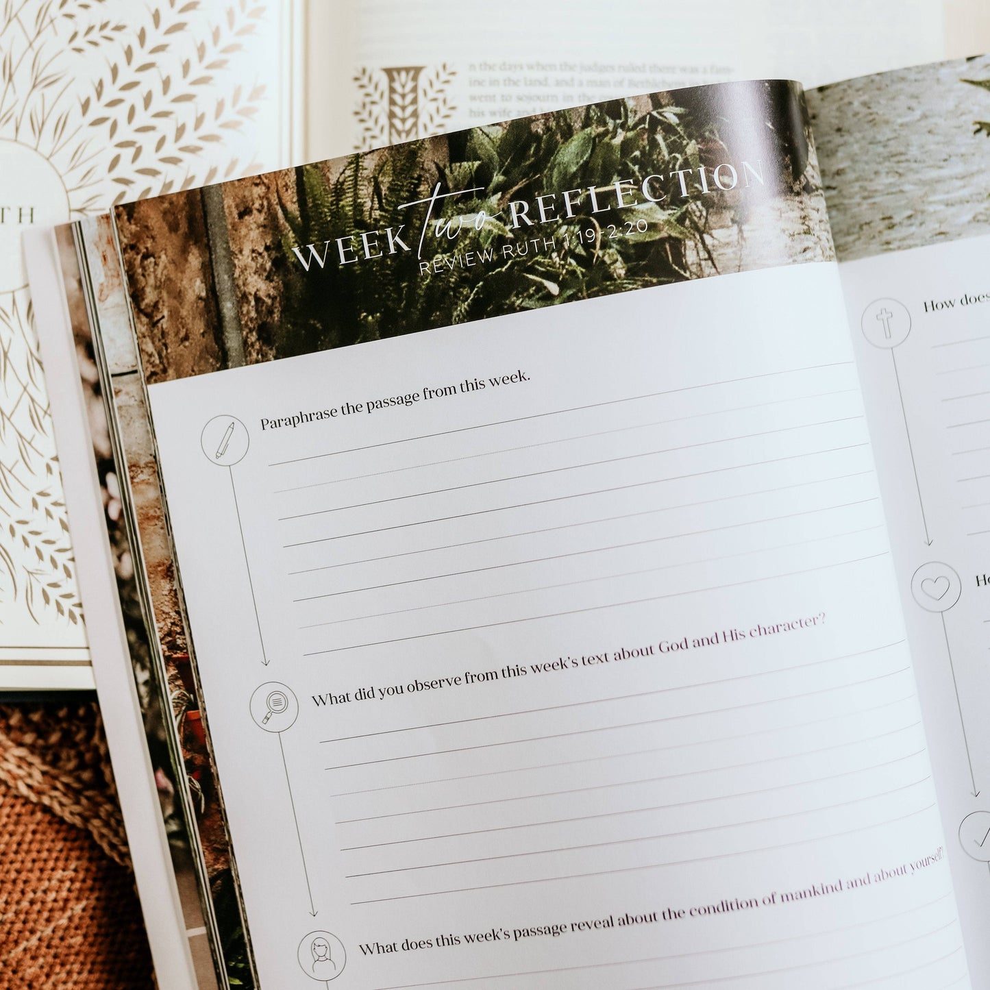 The Daily Grace Co - Ruth Bible Study