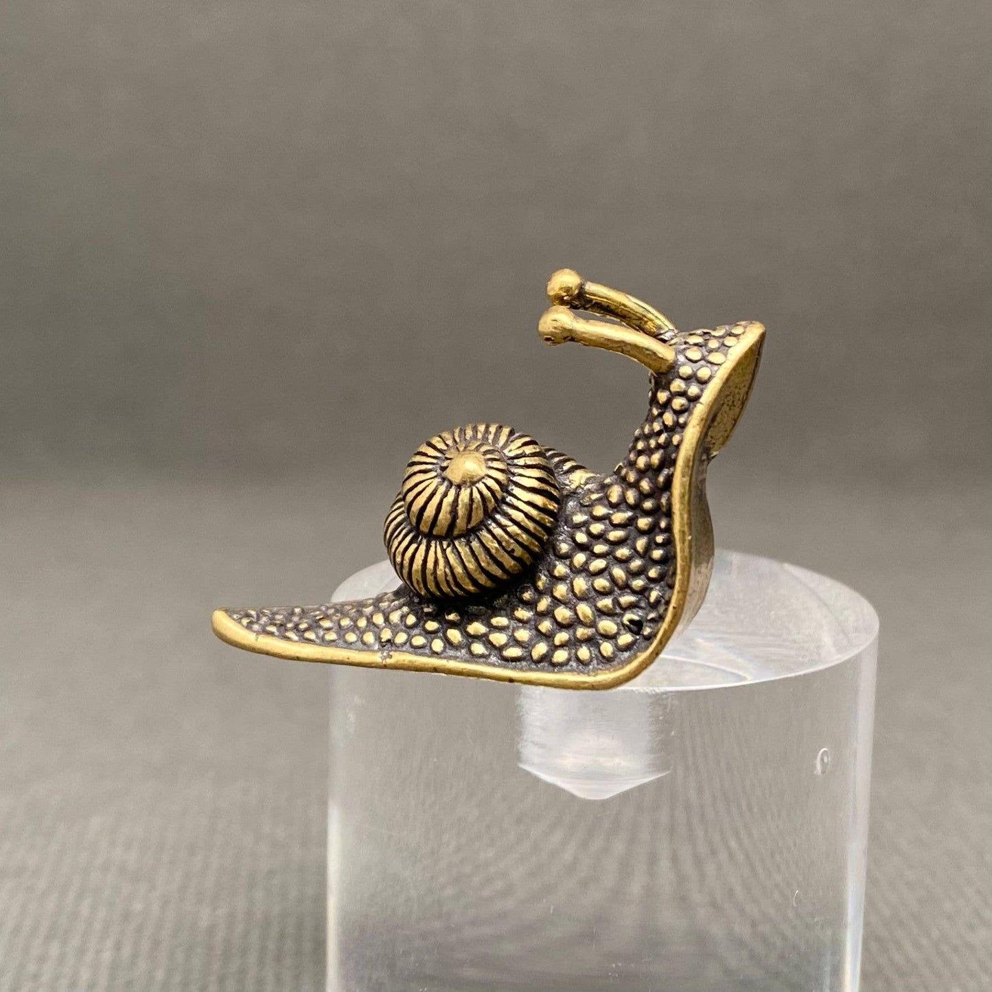 Mio Queena - Brass Snail Crafts Decoration Desktop Ornaments