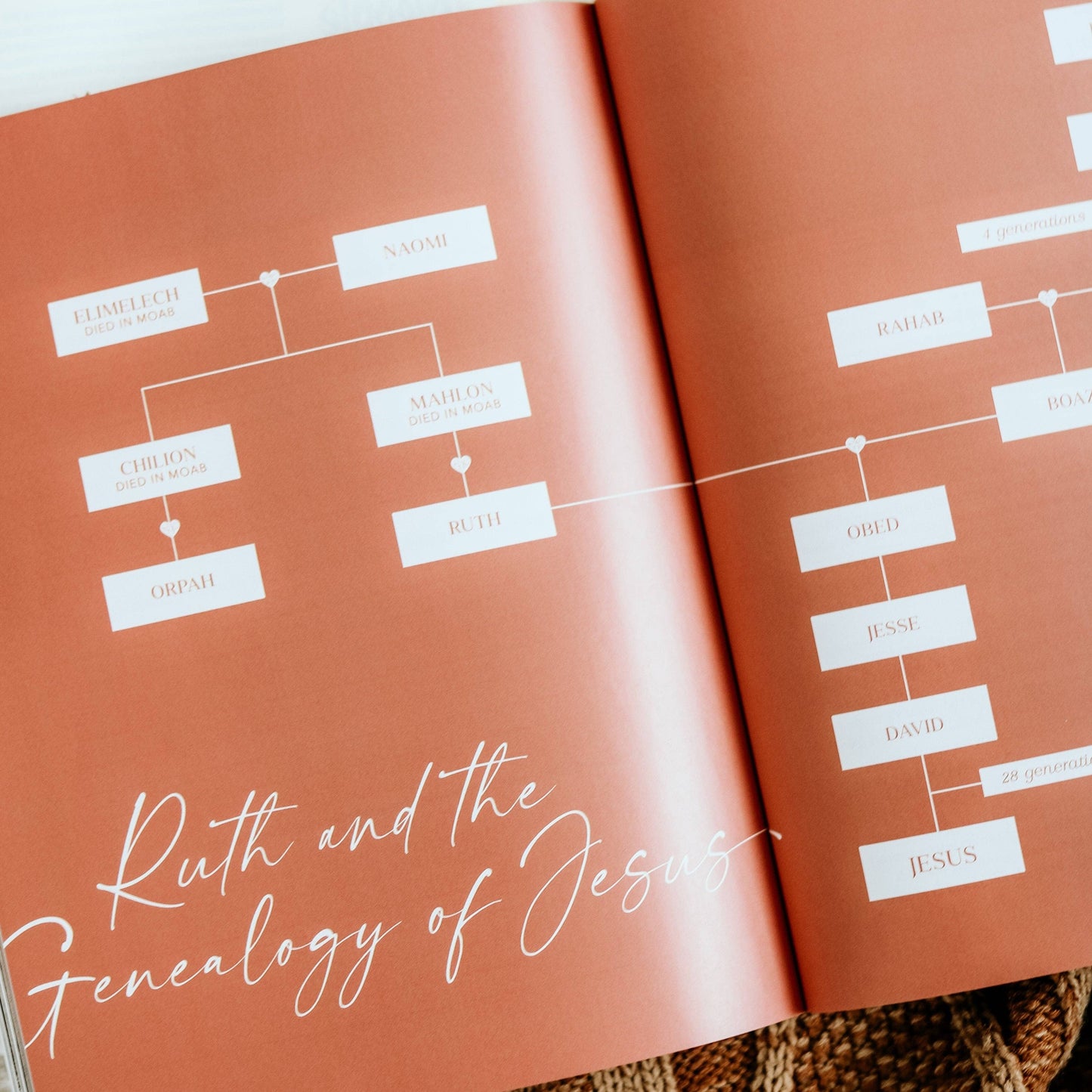 The Daily Grace Co - Ruth Bible Study