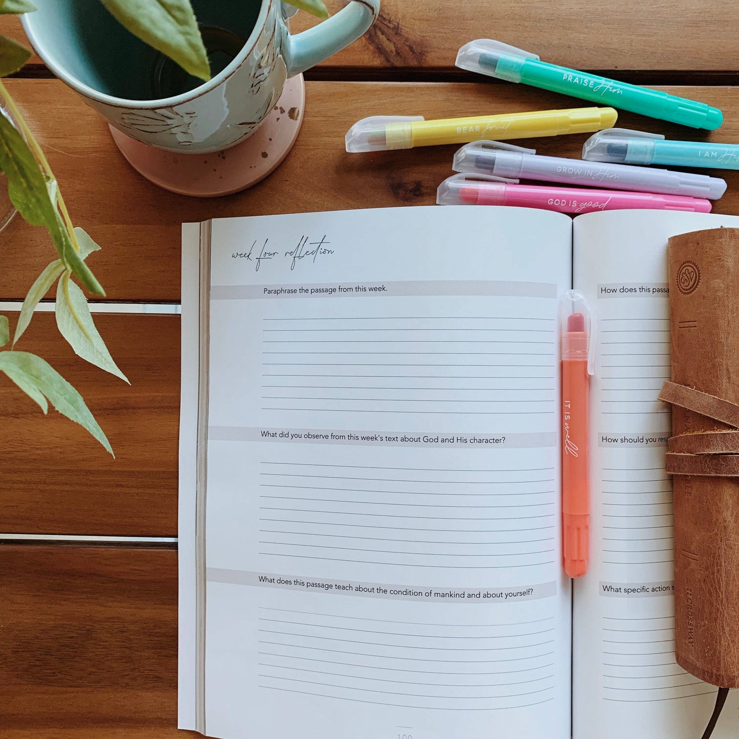 The Daily Grace Co - Colossians Bible Study