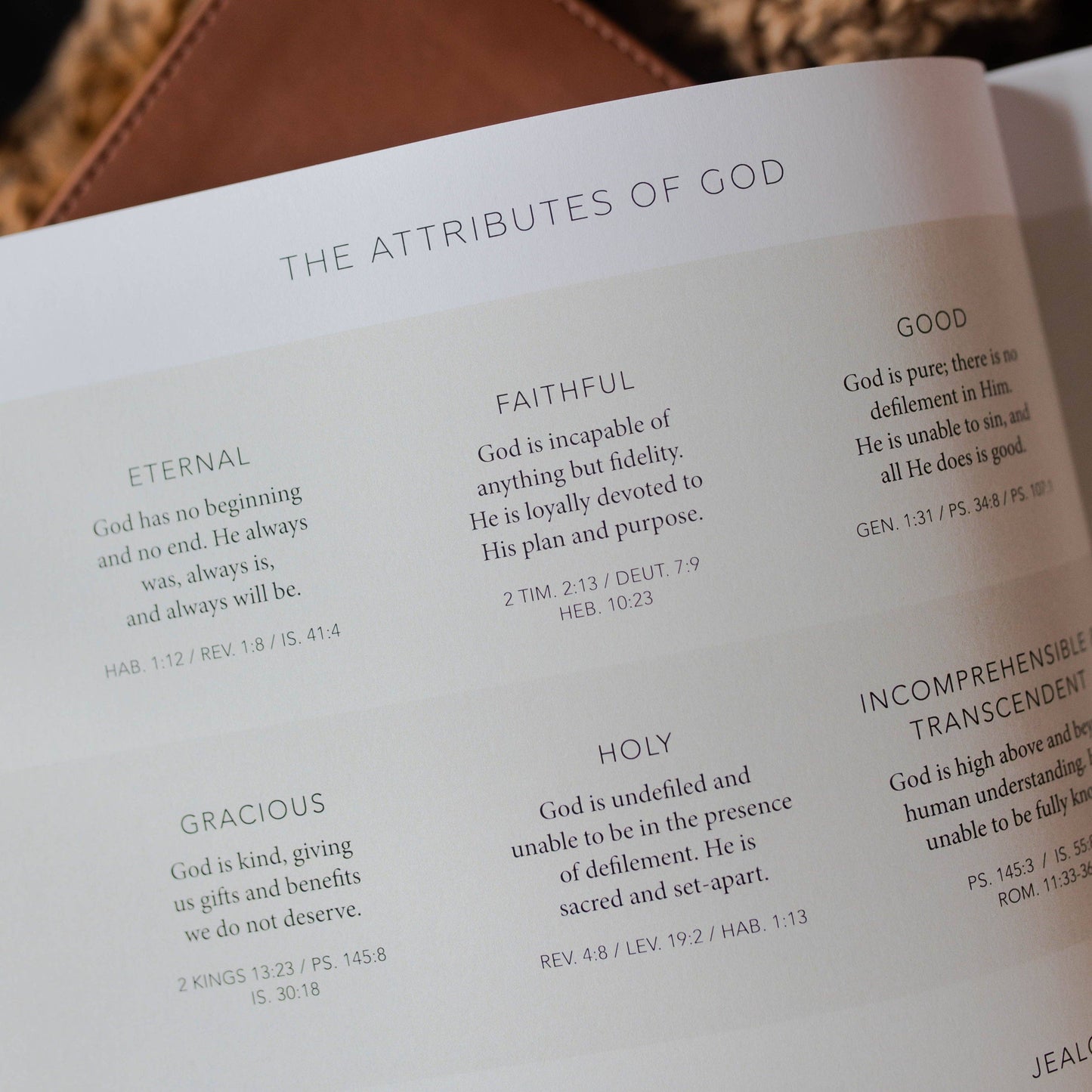 The Daily Grace Co - Esther Bible Study