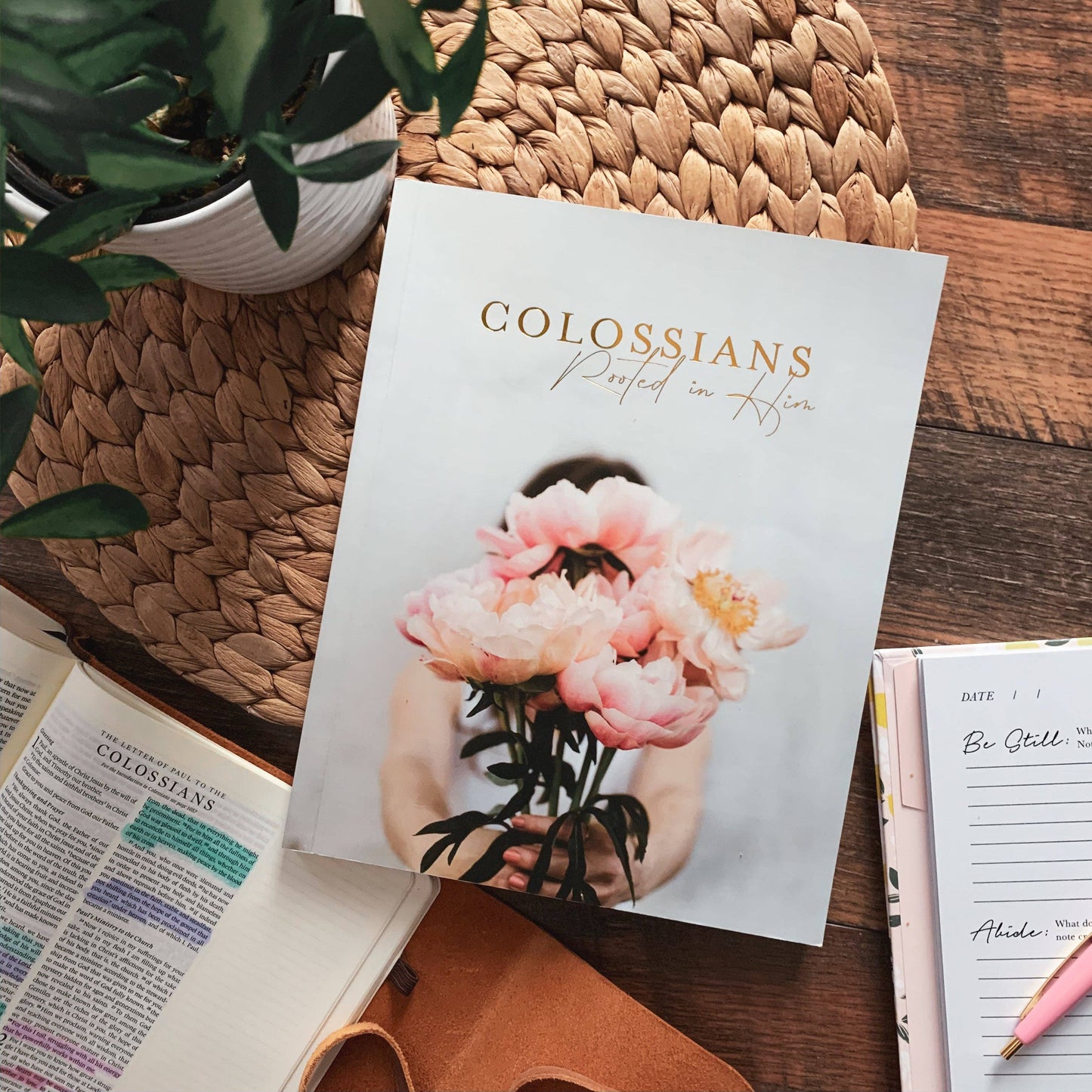 The Daily Grace Co - Colossians Bible Study