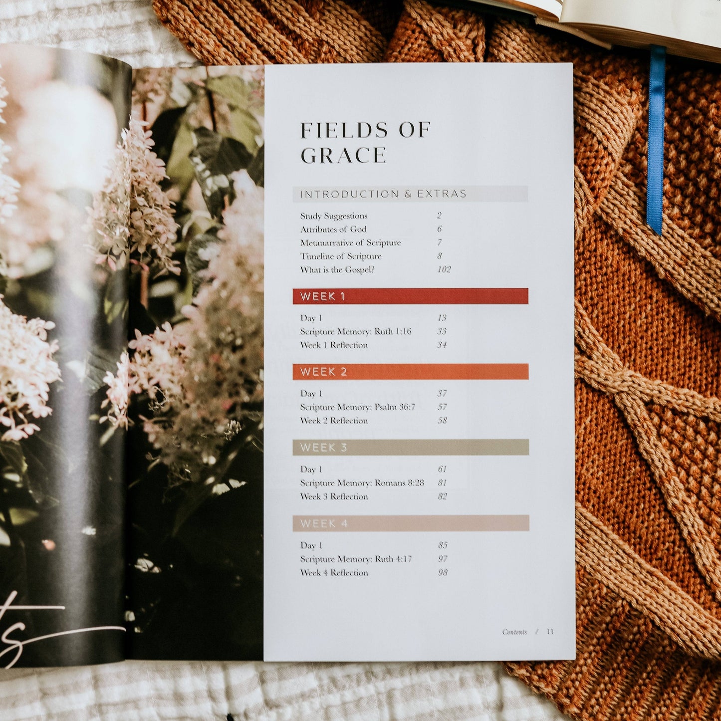 The Daily Grace Co - Ruth Bible Study